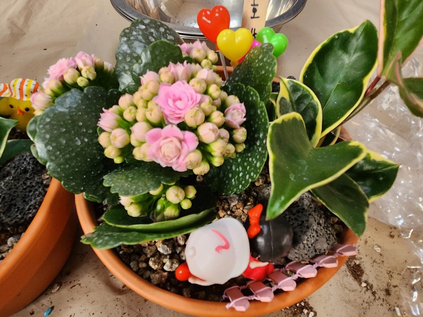 5.찾아가는 원예교실...